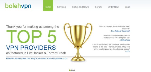 日本4只松鼠争先出巢 脑袋填满树洞惹人喜爱